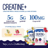 Après l'entraînement, boisson Vitauthority Creatine Poudre favorisant la récupération