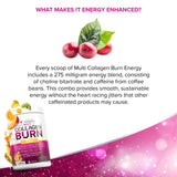 VitAuthority Multi Collagen Burn – ingrédients variés pour le collagène et le soutien des tissus.