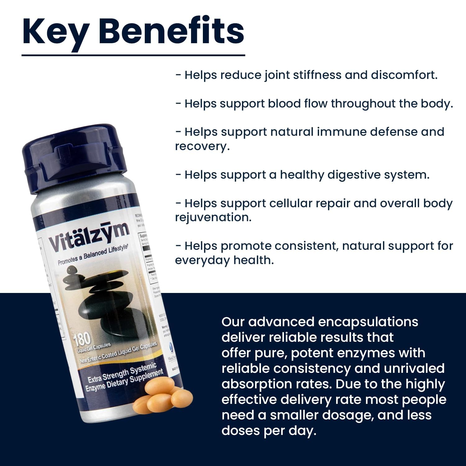 VITÄLZYM système de livraison entérique, biodisponibilité potentielle améliorée.