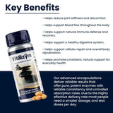 VITÄLZYM système de livraison entérique, biodisponibilité potentielle améliorée.