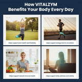 VITÄLZYM petites gélules faciles à avaler, utilisation quotidienne pratique.