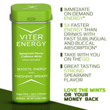 Viter Energy 40 mg Mints – détail menthe, texture fraîche et agréable.