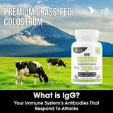 Etiquette claire et bouchon sécurisé sur la bouteille Vitinity Colostrum Bovin