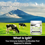 VITINITY soutien digestion et sante intestinale grace au colostrum bovin