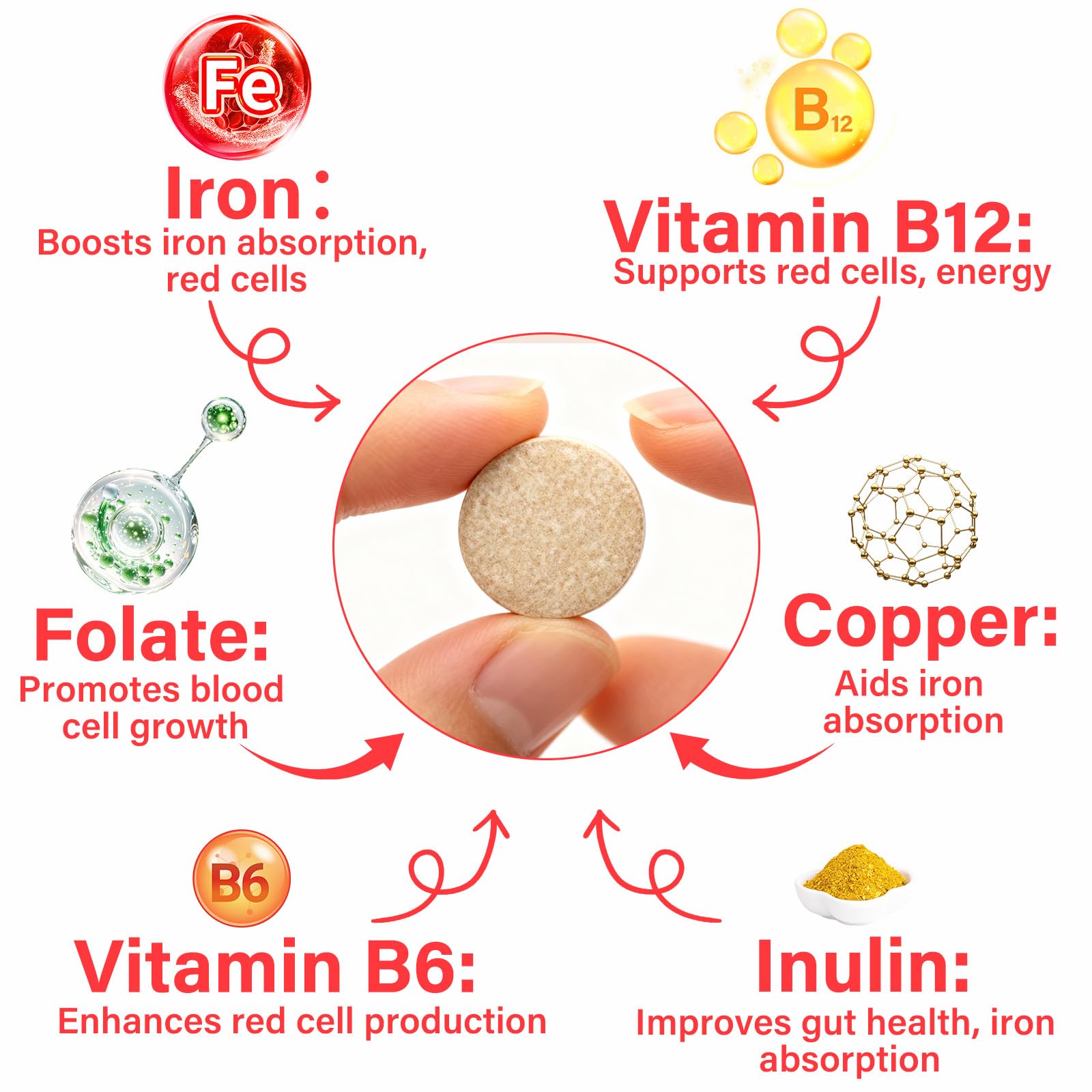 Coenzyme Q10 dans VivaElixir pour chiens, soutien nutritionnel quotidien.