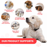 Ingrédients VivaElixir pour chiens : fer, vitamine B12 et folates.