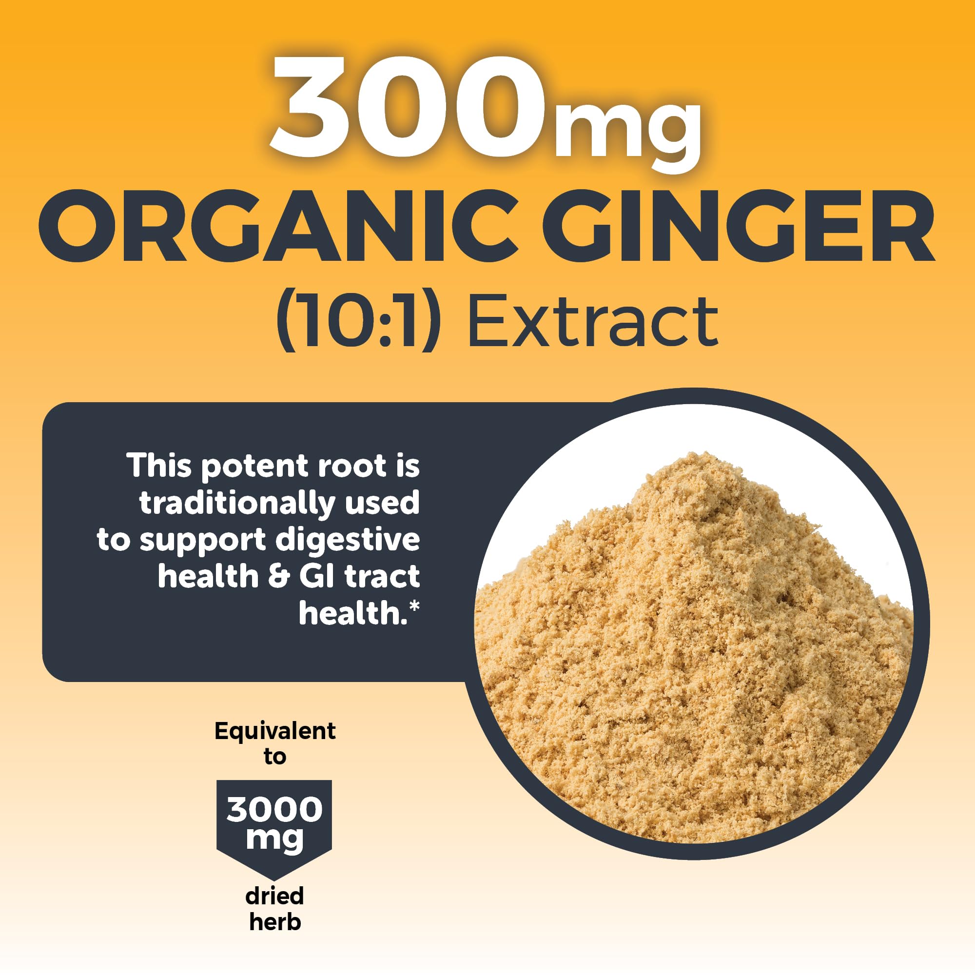 Viva Naturals Digestion Gingembre Curcuma: aide potentielle pour une digestion confortable.