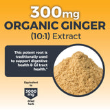 Viva Naturals Digestion Gingembre Curcuma: aide potentielle pour une digestion confortable.