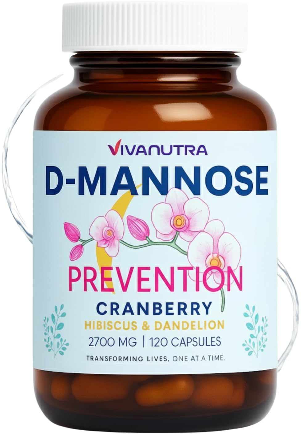 Capsules VIVANUTRA Cranberry et D-Mannose pour le soutien urinaire et le confort.