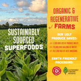 Ashwagandha et ginseng dans Vive Organic Energy Shot, soutien quotidien du bien-être.