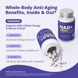 VIVI Youth NAD+ routine matin suggérée pour énergie et concentration