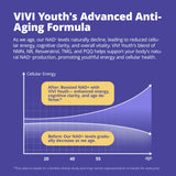 VIVI Youth NAD+ tableau d’ingrédients clés et leurs rôles dans la formulation