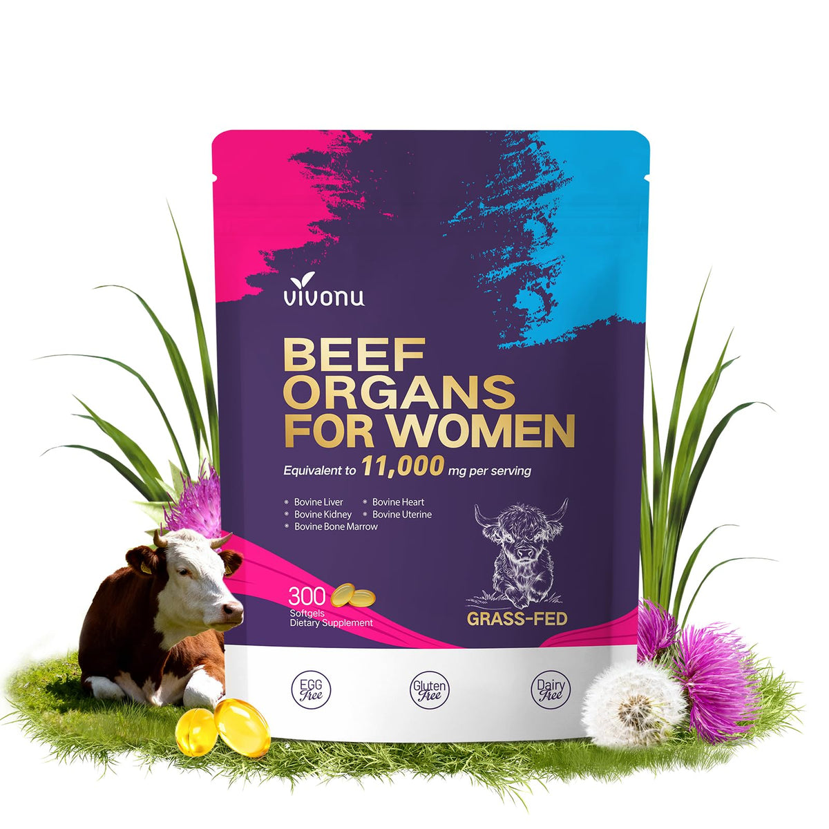 VivoNu 13-en-1 organes boeuf pour femmes, ensemble complet pour énergie et bien-être.