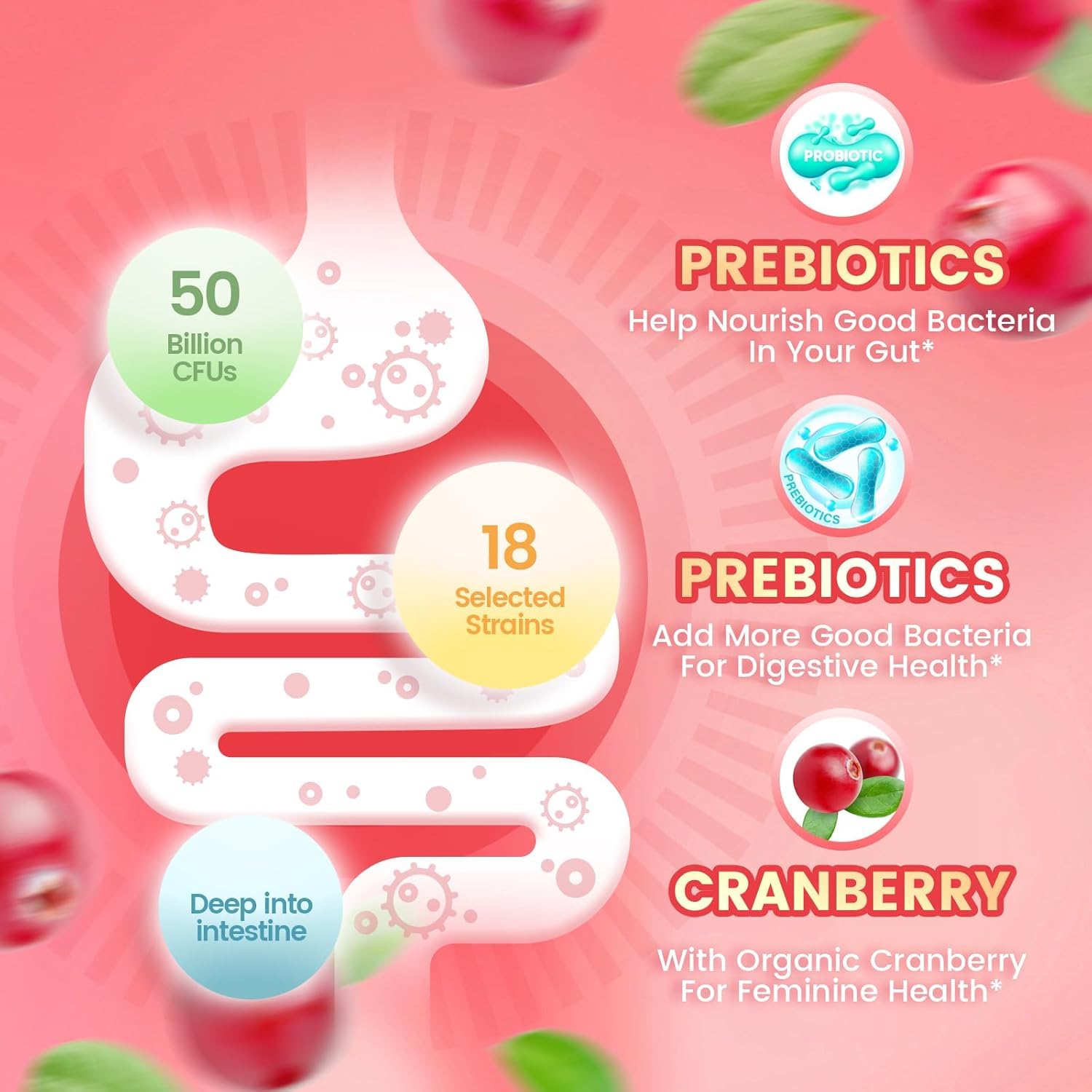 VivoNu Probiotiques pour Femmes, gomme rose, équilibre digestif quotidien.