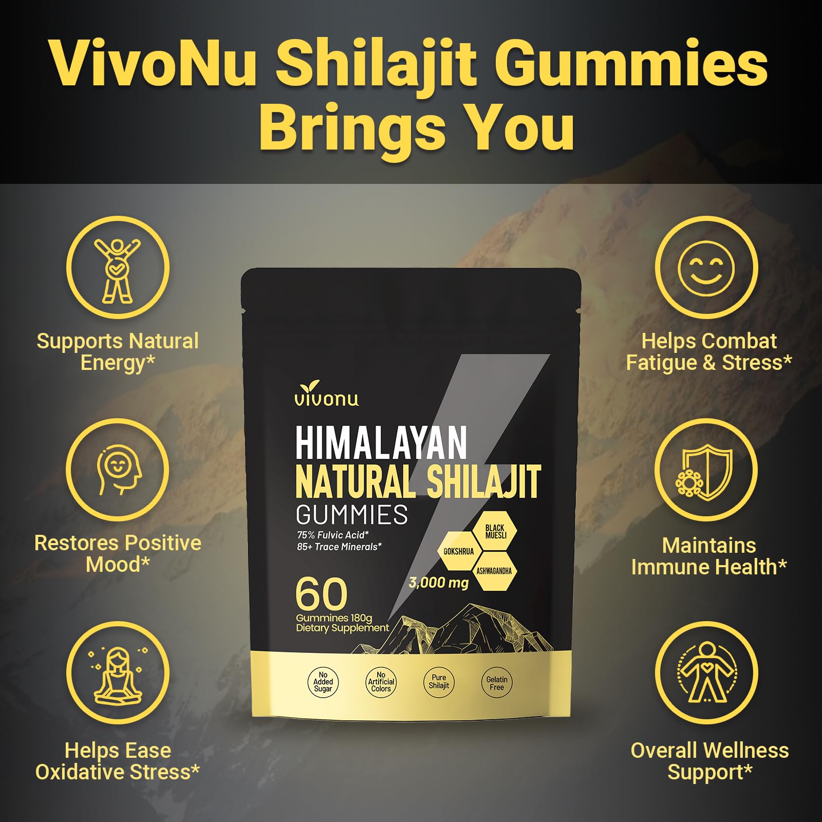Gommes Shilajit VivoNu emballage individuel pratique et portable.