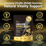 Gommes VivoNu favorisant le bien-être quotidien et l’humeur.