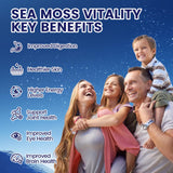 VivoNu aperçu de la composition multi-ingrédients pour le bien-être.