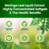 Peau saine et éclat potentiel grâce à VivoNu Moringa Softgel.