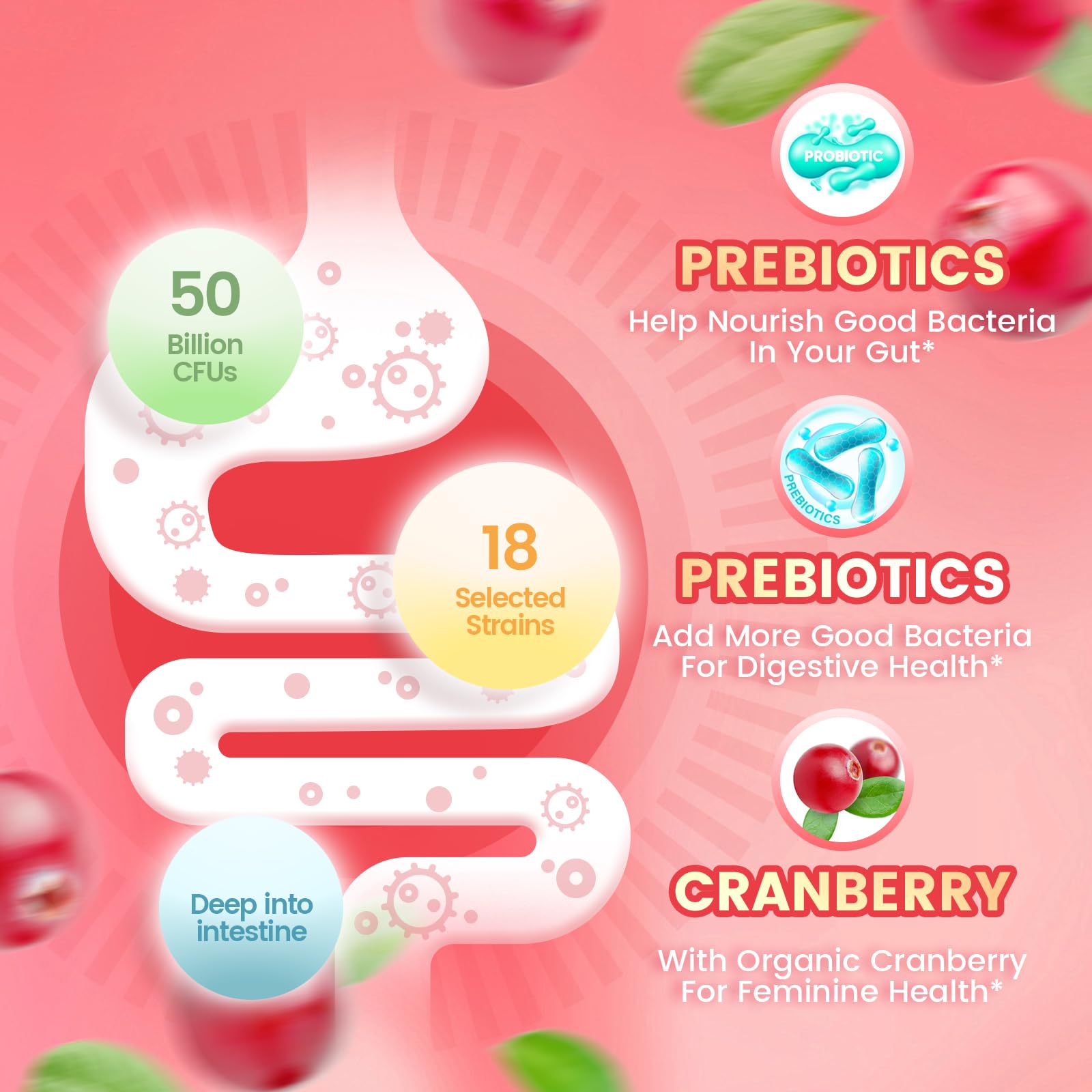 VivoNu probiotiques femmes, lactobacilles et acidophilus, soutien potentiel du microbiote intime.