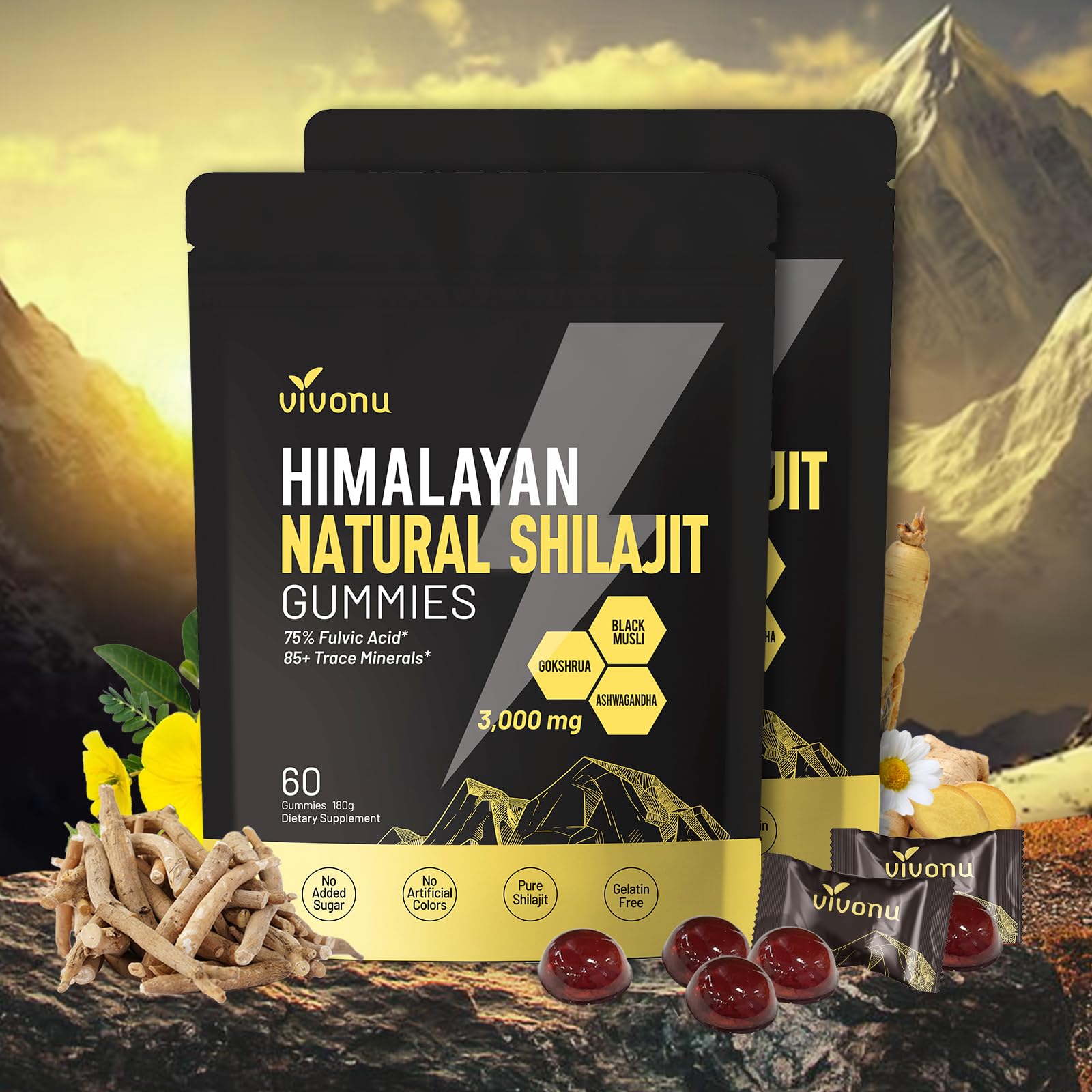 Gommes VivoNu Shilajit — bouteille montrant le format pratique pour énergie durable