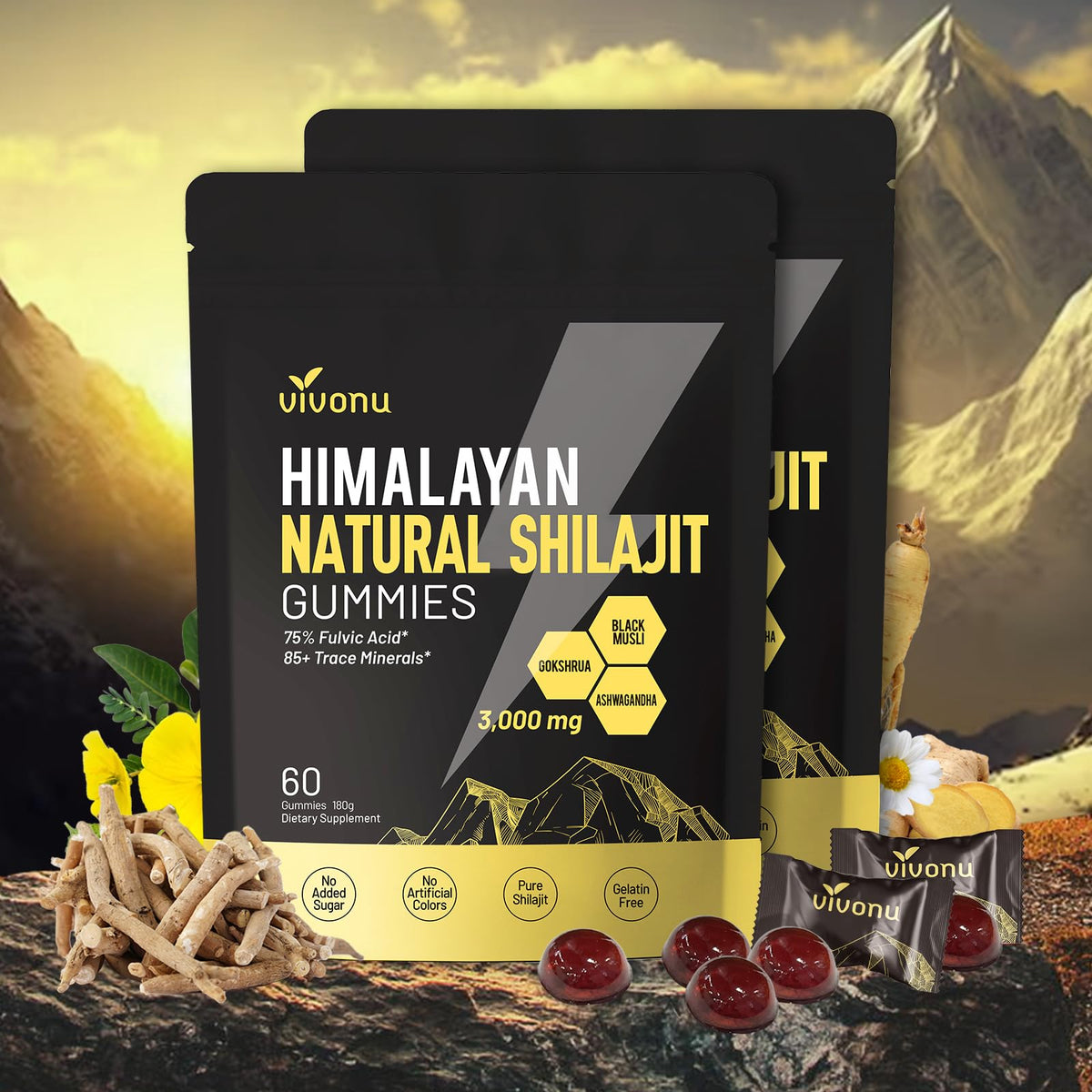 Gommes VivoNu Shilajit — bouteille montrant le format pratique pour énergie durable
