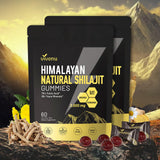 Gommes VivoNu Shilajit — bouteille montrant le format pratique pour énergie durable