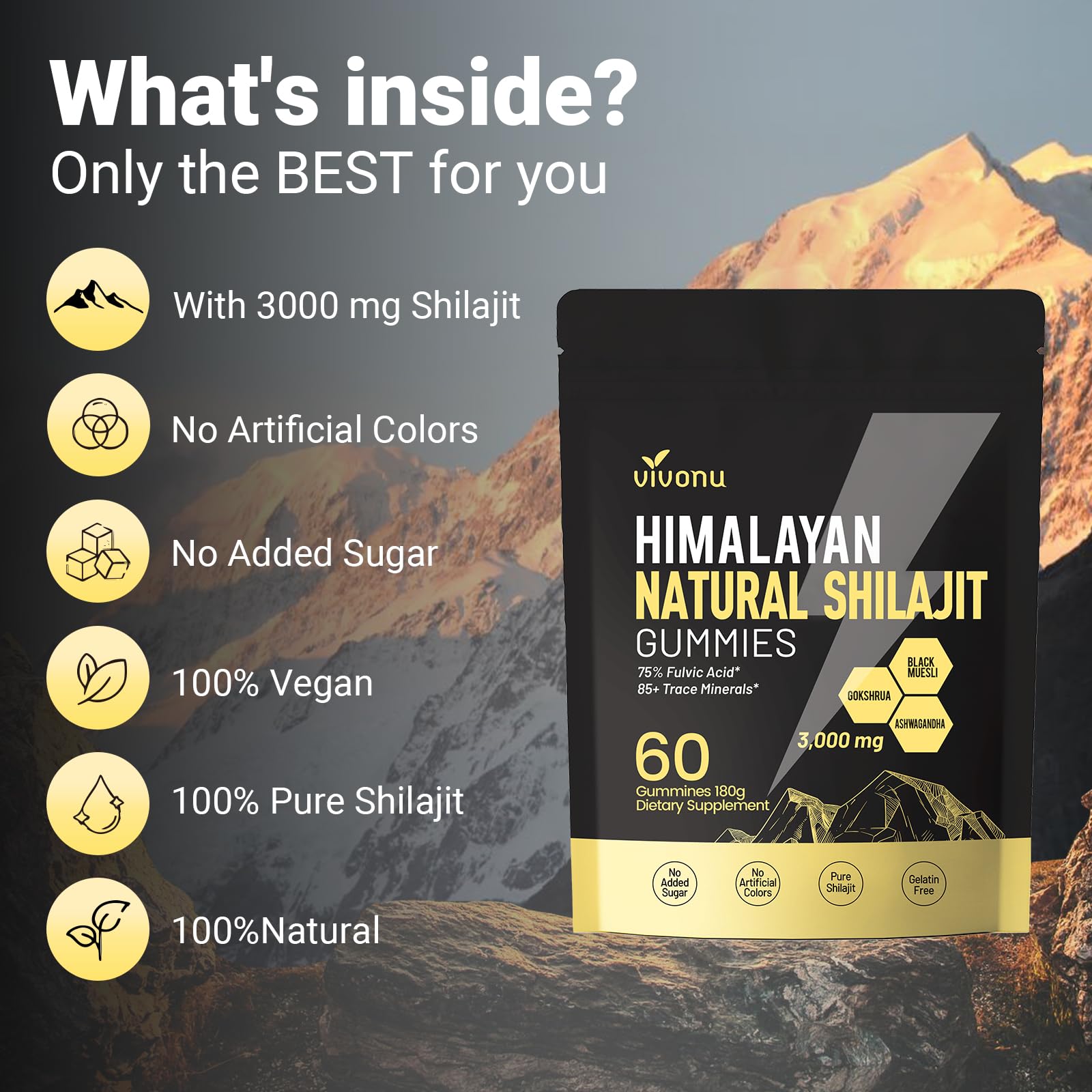 Extrait résine Shilajit Himalaya VivoNu, pur et naturel.