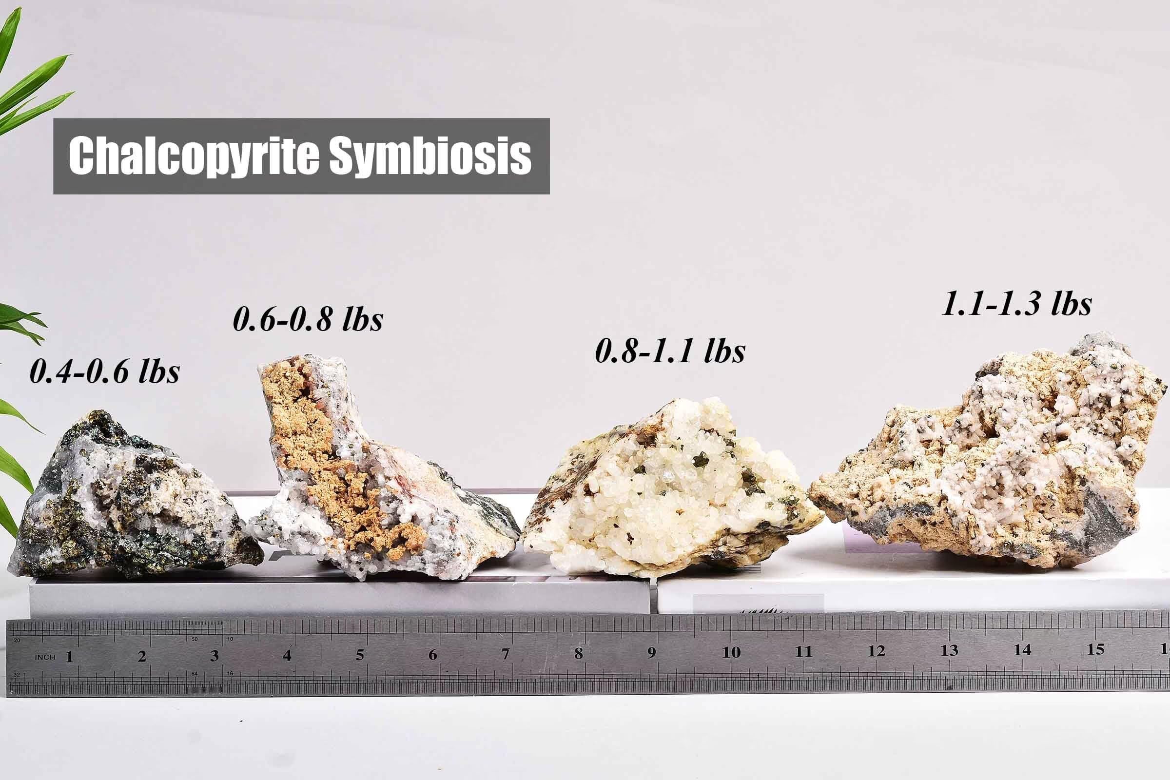 VIZYTOU Chalcopyrite symbiose décorative pour maison, crée ambiance calme et raffinée.