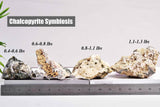 VIZYTOU Chalcopyrite symbiose décorative pour maison, crée ambiance calme et raffinée.