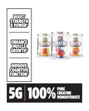 VMI Sports Creatine Monohydrate preparation, préparation post-entraînement simplifiée.