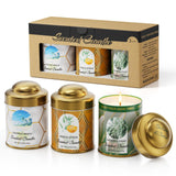 Bougie Vortixx Balsam & Cèdre – parfum boisé durable pour votre espace.