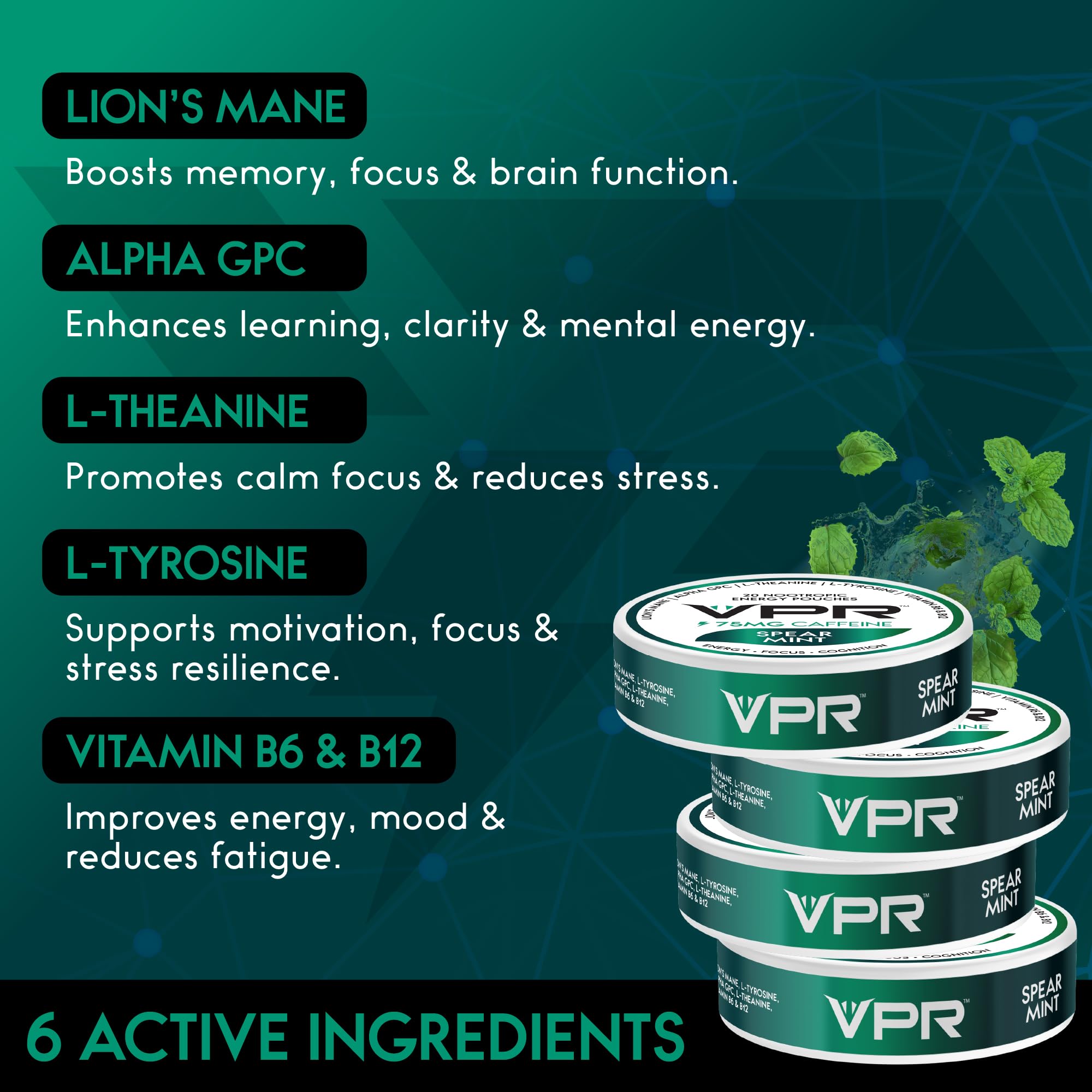 VPR Energy Poche Alpha-GPC et crinière de lion pour concentration accrue.
