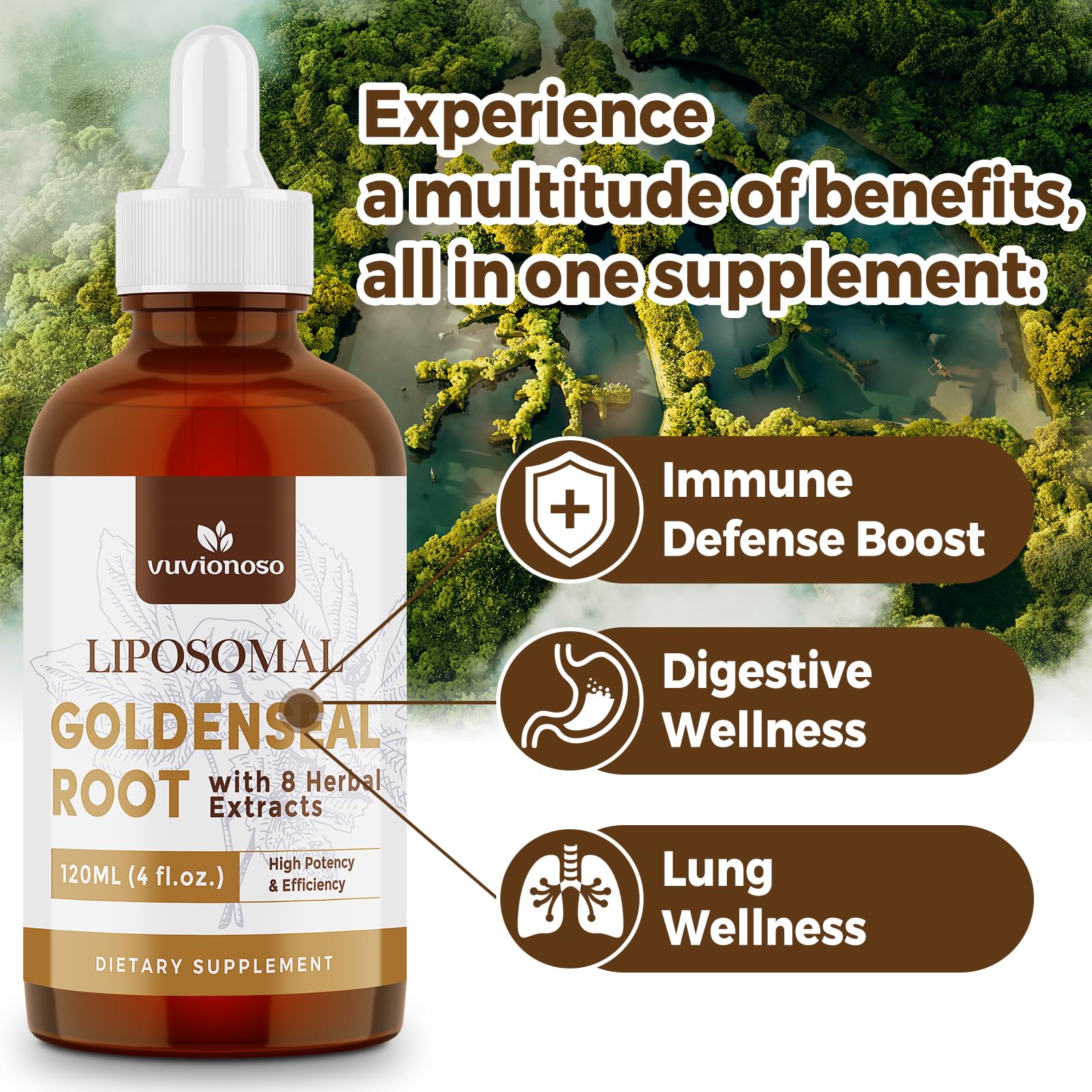 Extrait liposomique Vuvionoso Goldenseal offrant absorption rapide et efficacité.
