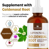 Gouttes Vuvionoso Goldenseal pour routine quotidienne facilitée.
