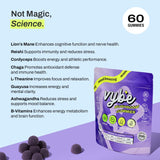 Vybe – cordyceps, corde d’énergie durable représentée.