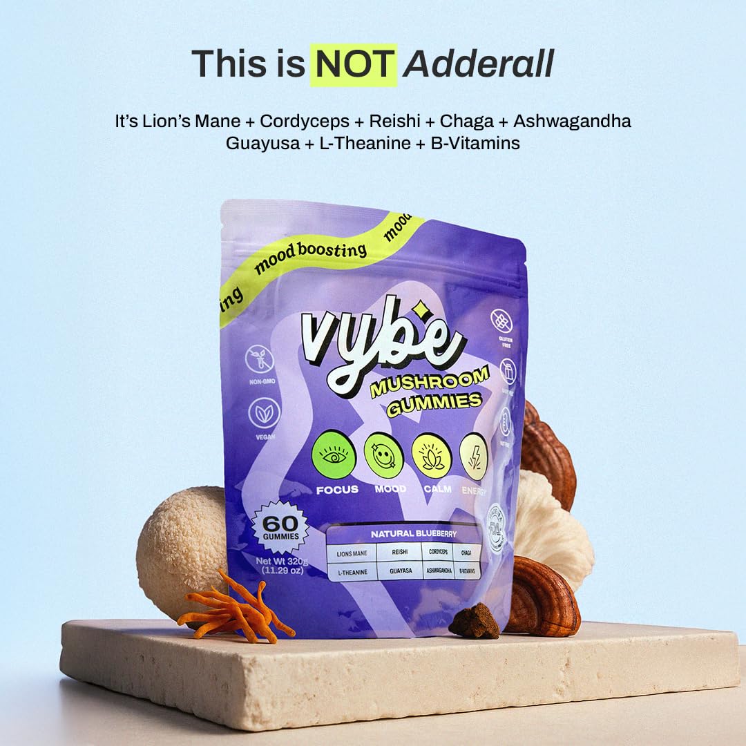 Vybe – crinière de lion, champignon stimulant la clarté mentale.