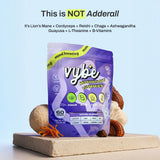 Vybe – crinière de lion, champignon stimulant la clarté mentale.