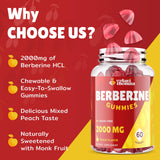 Vylarithonixa Berberine Gommes, posologie de 2 gommes, dosage simple