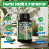 Moringa: source naturelle d'énergie et nutriments