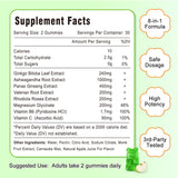 Composition VZOXAINS avec panax ginseng et ginkgo biloba.
