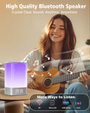 WamGra lecteur MP3 SD USB pour lecture musicale variée.