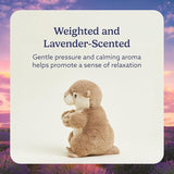 Warmies Otter, peluche aromatisée lavande pour une ambiance apaisante.