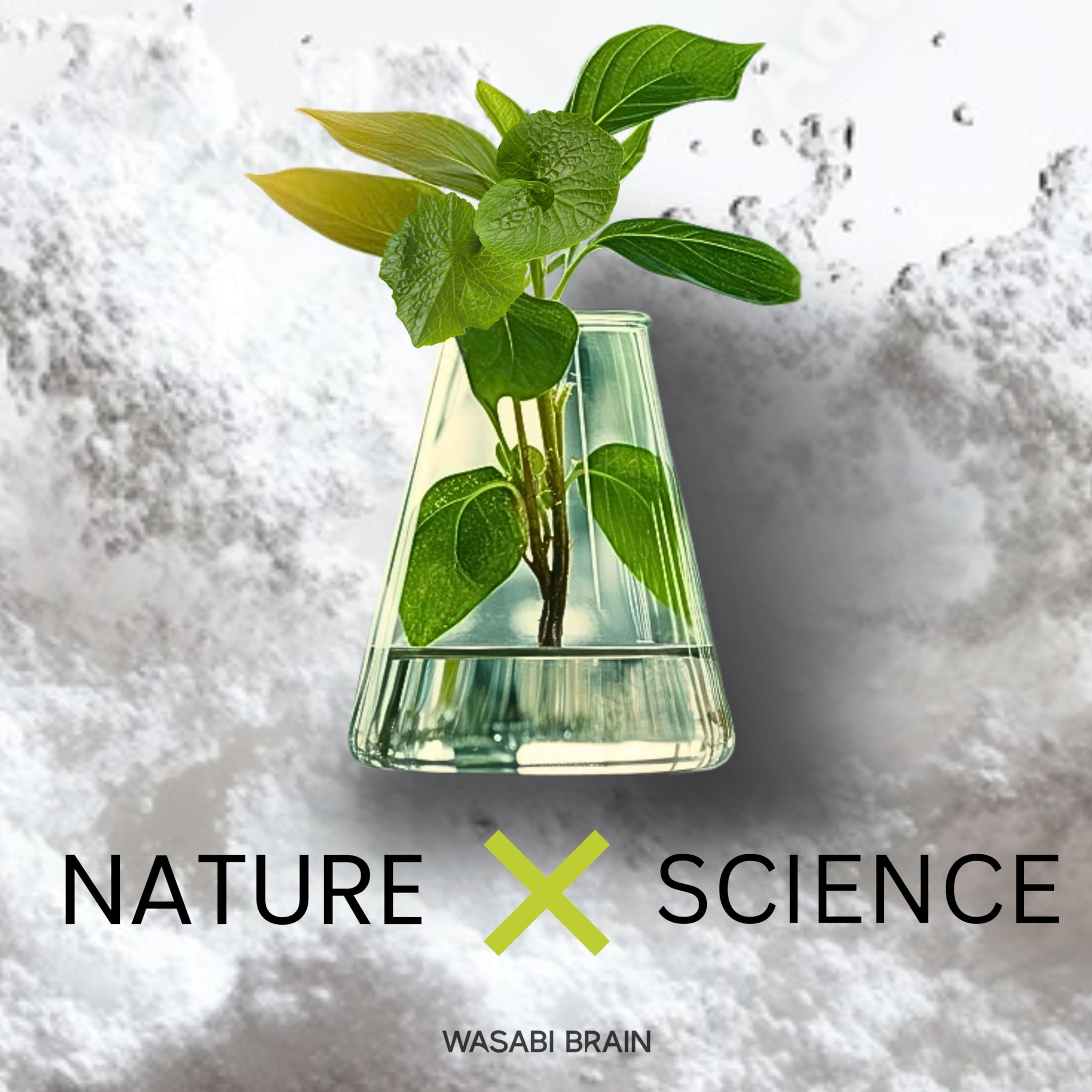 Wasabi Brain boite-produit: rangement facile dans la routine santé