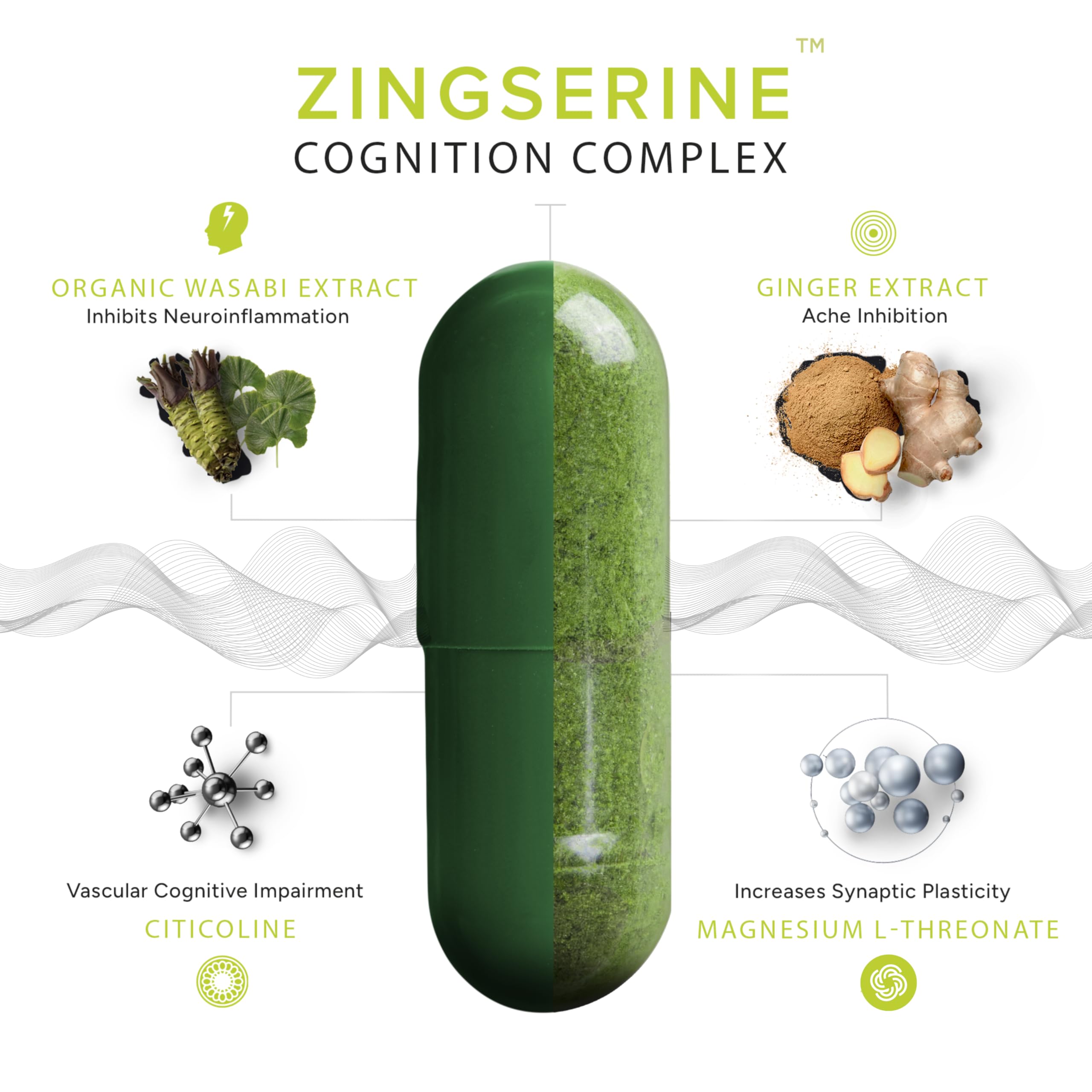 Wasabi Brain tableau-cognition: visuels sur les bénéfices cognitifs potentiels
