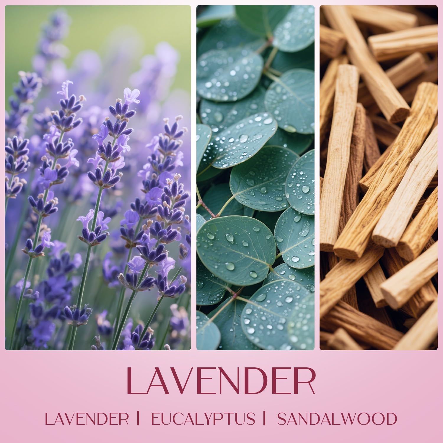 Duo lavande et vanille Waxcanpy, expérience olfactive équilibrée.