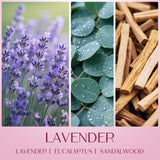 Duo lavande et vanille Waxcanpy, expérience olfactive équilibrée.