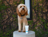 Soin polyvalent Waxelene pour animaux et maison.
