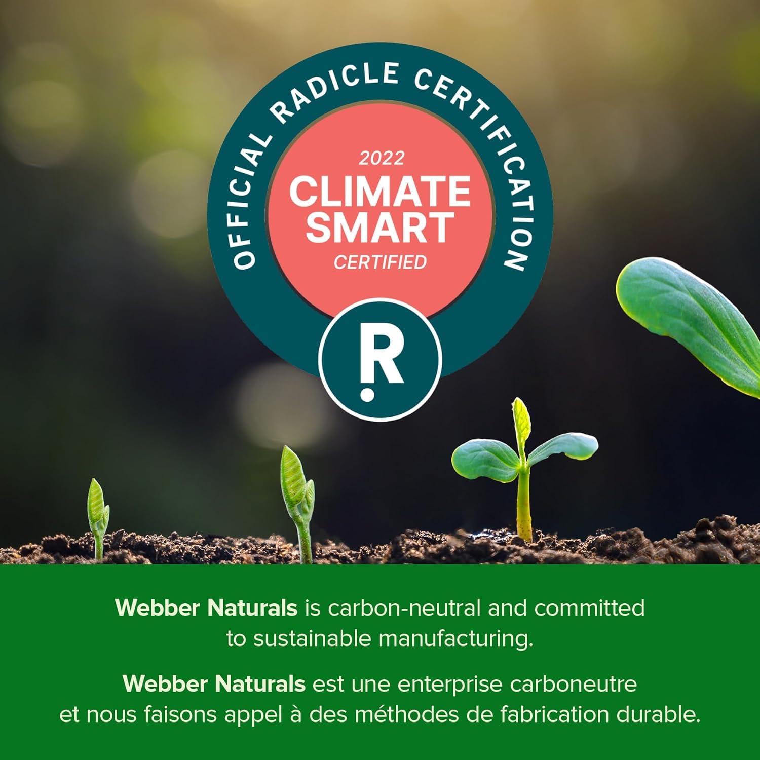 Webber Naturals Digestives enzymes, emballage prêt à afficher les bienfaits potentiels.