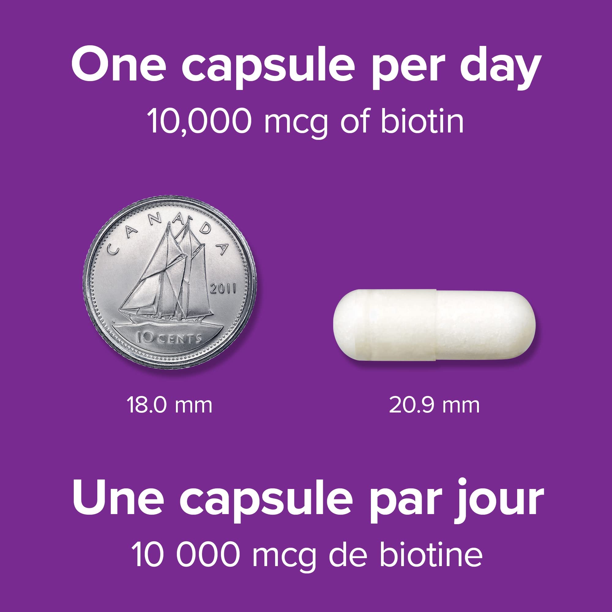 Biotine Webber Naturals, capsules quotidiennes pour le métabolisme et l'énergie.