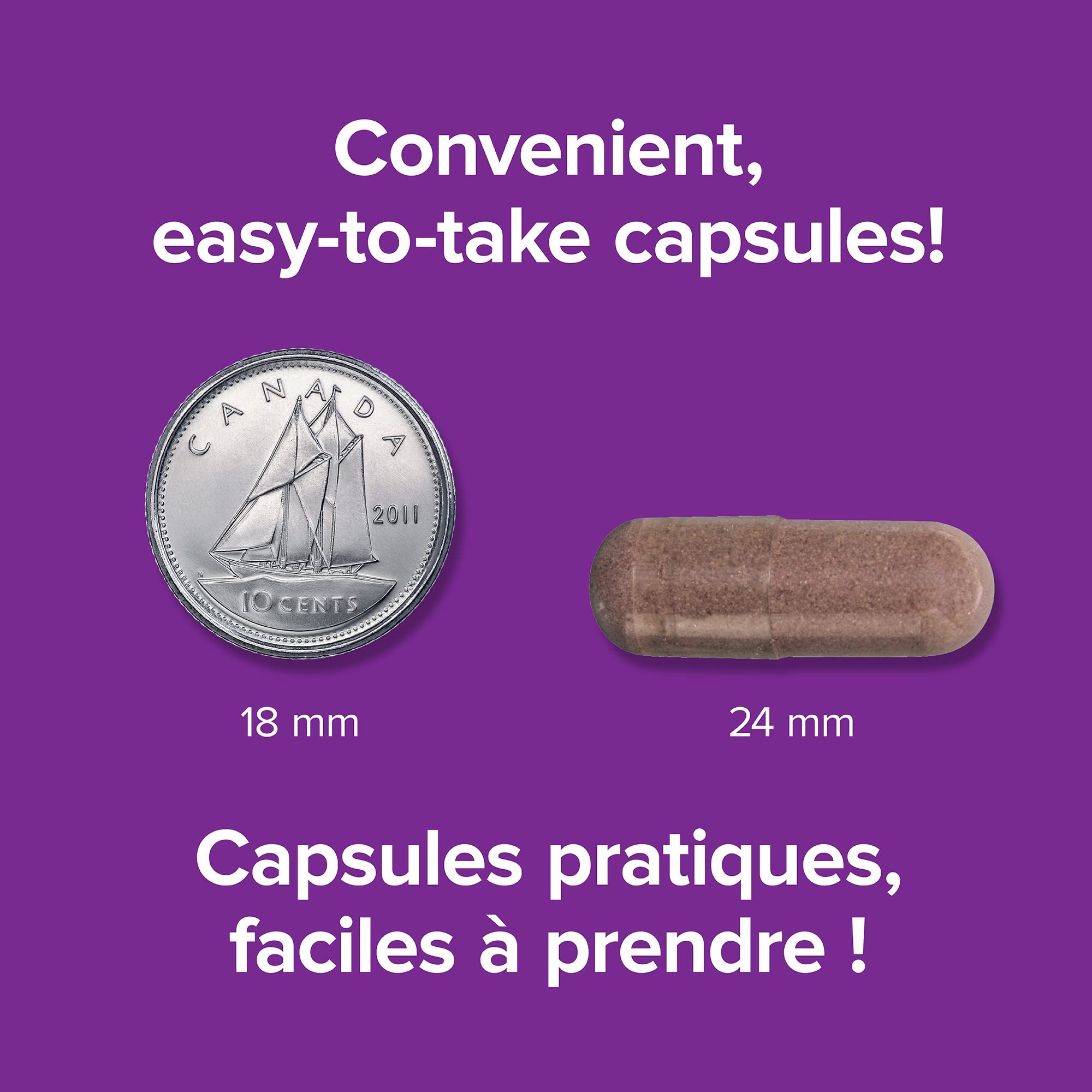 Webber Naturals Emballage Bleuet 36:1 – boîte prête à l'emploi